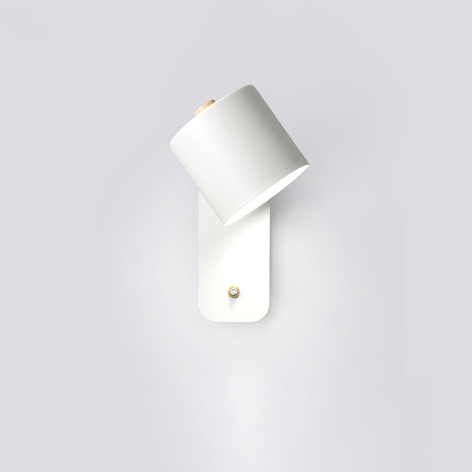 Modern Iron LED Wall Sconce with Rotating Head