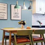 Modern Iron Macaron Disc Pendant Light