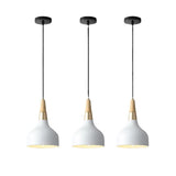 Modern Iron Macaron Disc Pendant Light
