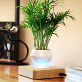 Modern Magnetic Floating Flower Pot Rotating