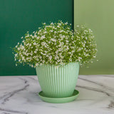 Modern Plastic Flower Pot with Ribbed Design