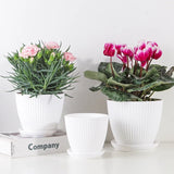 Modern Plastic Flower Pot with Ribbed Design