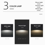 Modern Rectangular LED Flush Mount Light