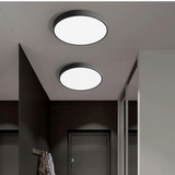 Modern Round LED Flush Mount Ceiling Light