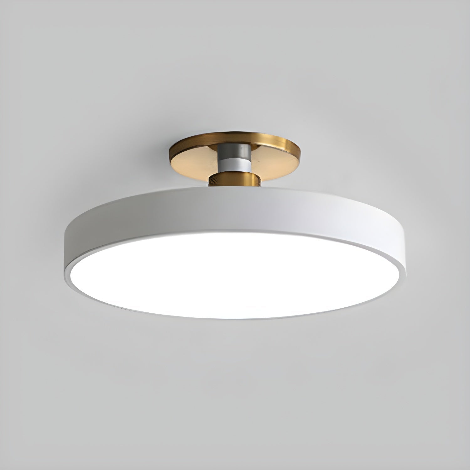 Modern Round LED Flush Mount Light