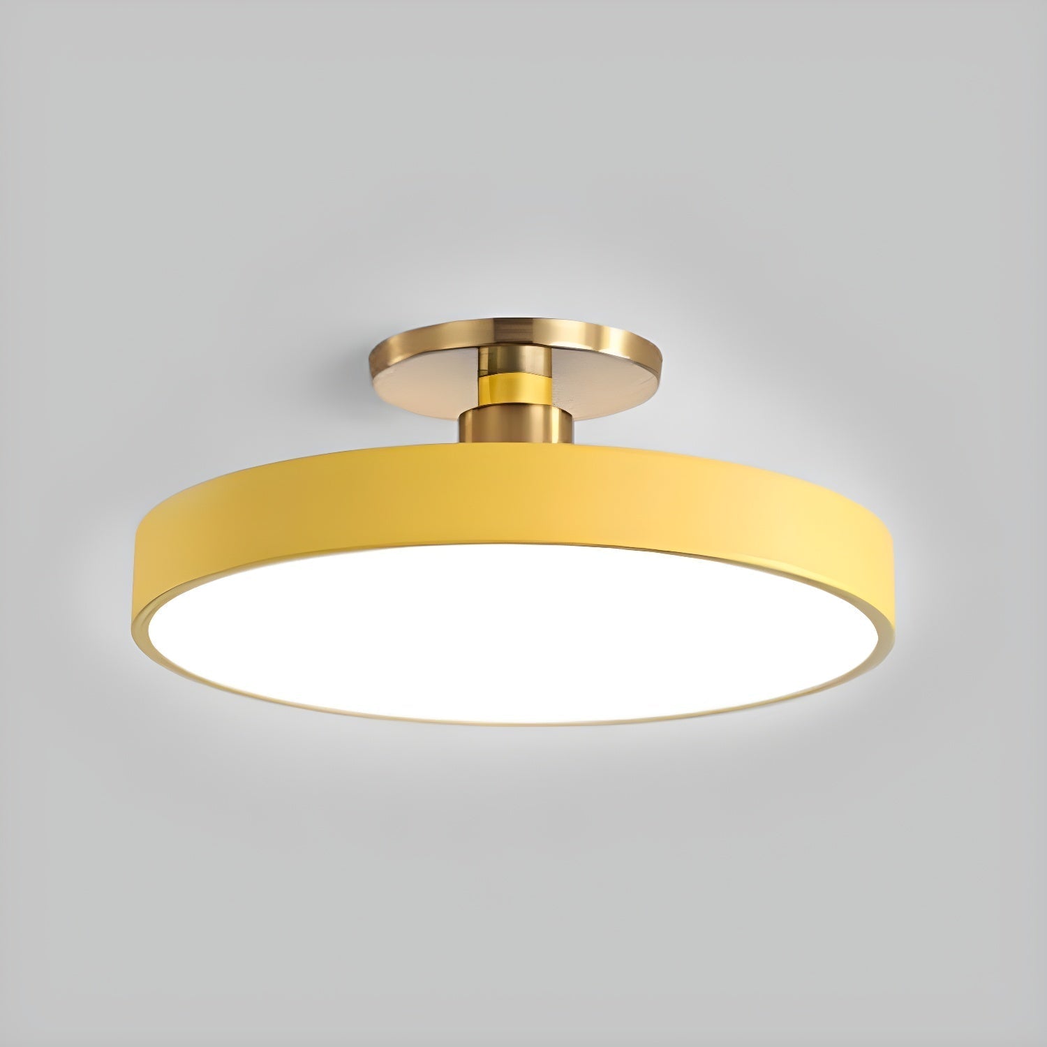 Modern Round LED Flush Mount Light