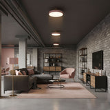 Modern Round LED Flush Mount Light