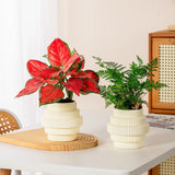 Modern Self Watering Plant Pot Ribbed Design