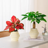 Modern Self Watering Plant Pot Ribbed Design