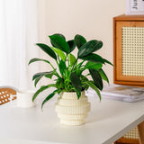 Modern Self Watering Plant Pot Ribbed Design