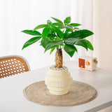 Modern Self Watering Plant Pot Ribbed Design