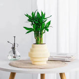 Modern Self Watering Plant Pot Ribbed Design