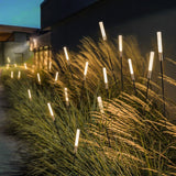 Modern Solar Reed Lights with Steel Stakes