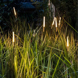 Modern Solar Reed Lights with Steel Stakes
