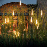 Modern Solar Reed Lights with Steel Stakes