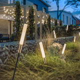 Modern Solar Reed Lights with Steel Stakes