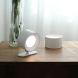 Modern Wood Grain LED Wall Light Sconce