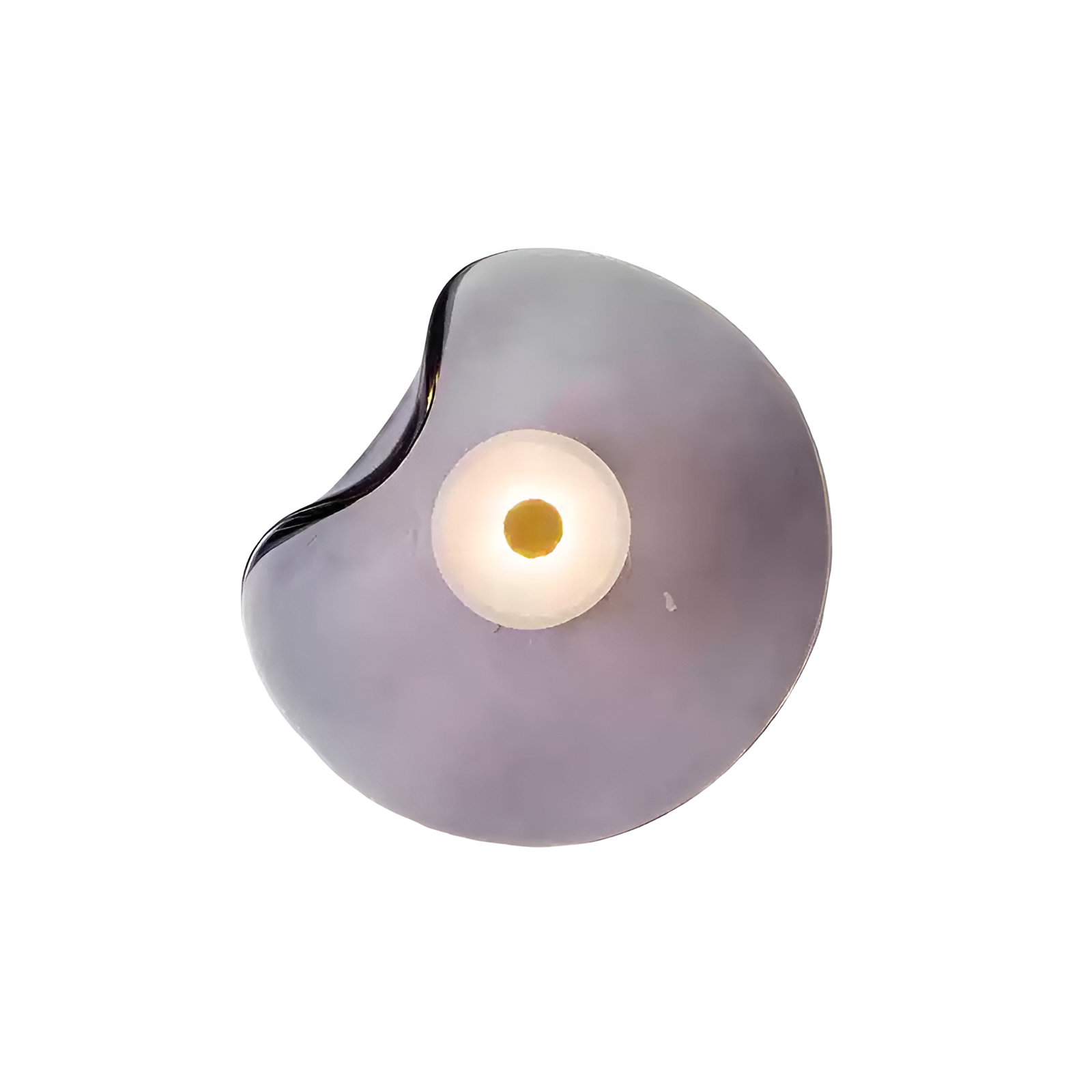 Nordic Curved Glass LED Wall Sconce
