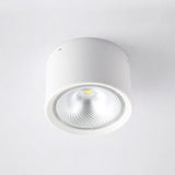 Nordic Cylinder LED Flush Mount Ceiling