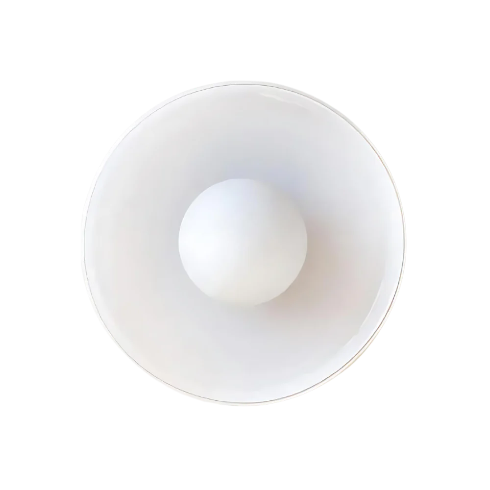 Nordic Glass Disc Wall and Ceiling Light