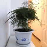 Plastic Planter with Bamboo Motif Decorative
