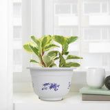 Plastic Planter with Bamboo Motif Decorative