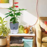 Plastic Self Watering Flower Pot Clear Base