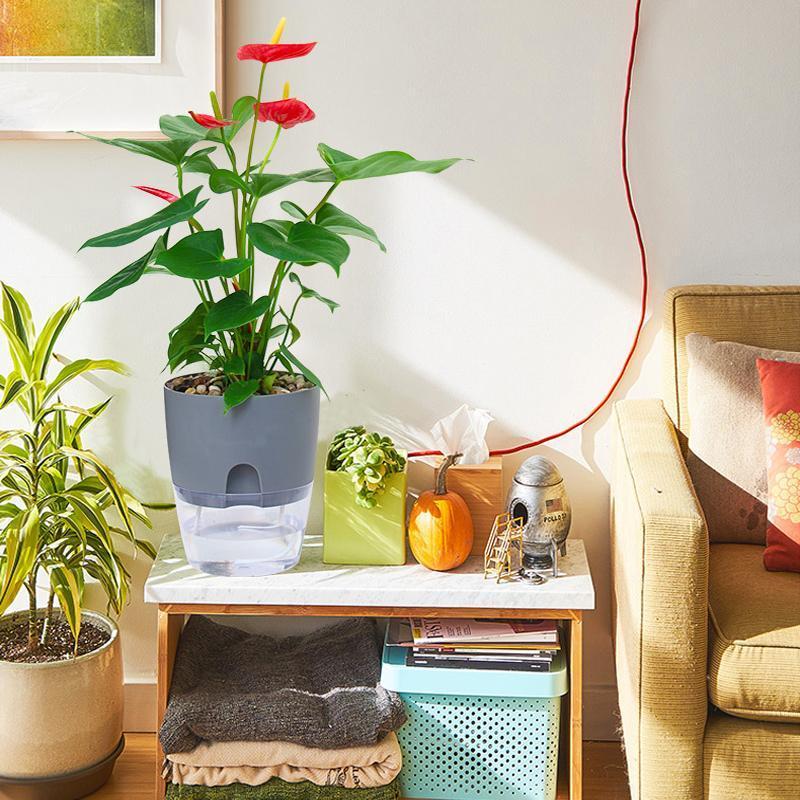 Plastic Self Watering Flower Pot Clear Base