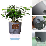 Plastic Self Watering Flower Pot Clear Base