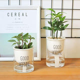 Plastic Self Watering Flower Pot Clear Base