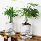 Plastic Self Watering Flower Pot Clear Base