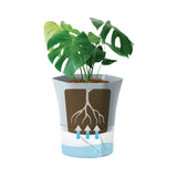 Plastic Self Watering Flower Pot with Wick