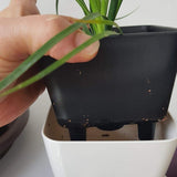 Plastic Self Watering Plant Pot with Gauge