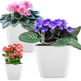 Plastic Self Watering Plant Pot with Gauge