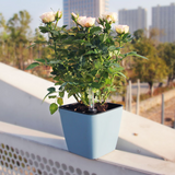 Plastic Self Watering Plant Pot with Gauge
