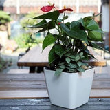 Plastic Self Watering Plant Pot with Gauge