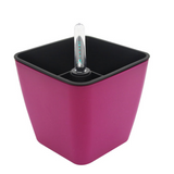 Plastic Self Watering Plant Pot with Gauge
