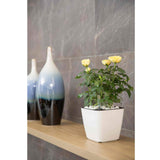 Plastic Self Watering Plant Pot with Gauge