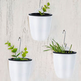 Plastic Wall Mounted Self Watering Flower Pot