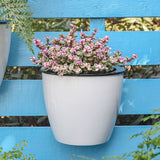 Plastic Wall Mounted Self Watering Flower Pot