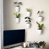 Plastic Wall Mounted Self Watering Flower Pot