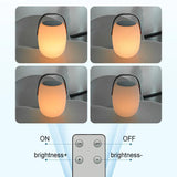 Portable Solar LED Lantern with Handle