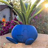 Quirky Plastic Succulent Planter with Face