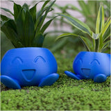 Quirky Plastic Succulent Planter with Face