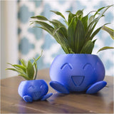Quirky Plastic Succulent Planter with Face