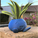 Quirky Plastic Succulent Planter with Face