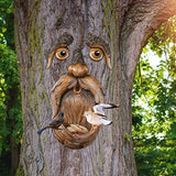 Resin Tree Face Bird Feeder Garden Decor Art