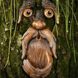 Resin Tree Face Bird Feeder Garden Decor Art