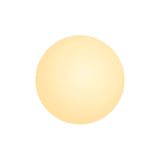 Round Glass LED Wall Light