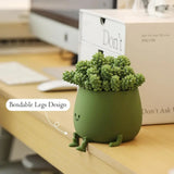 Self Watering Flower Pot with Cute Face Legs